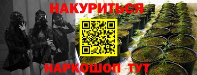 гидра Чебаркуль