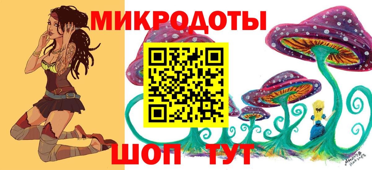 Псилоцибиновые грибы Psilocybe Анжеро-Судженск