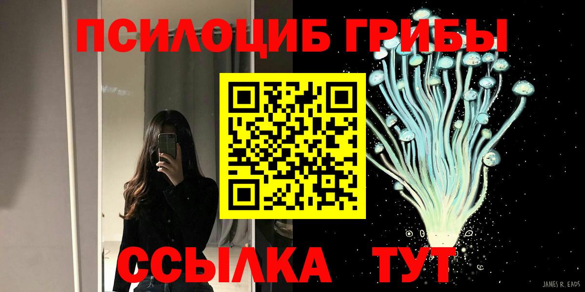 Галлюциногенные грибы Cubensis Анжеро-Судженск