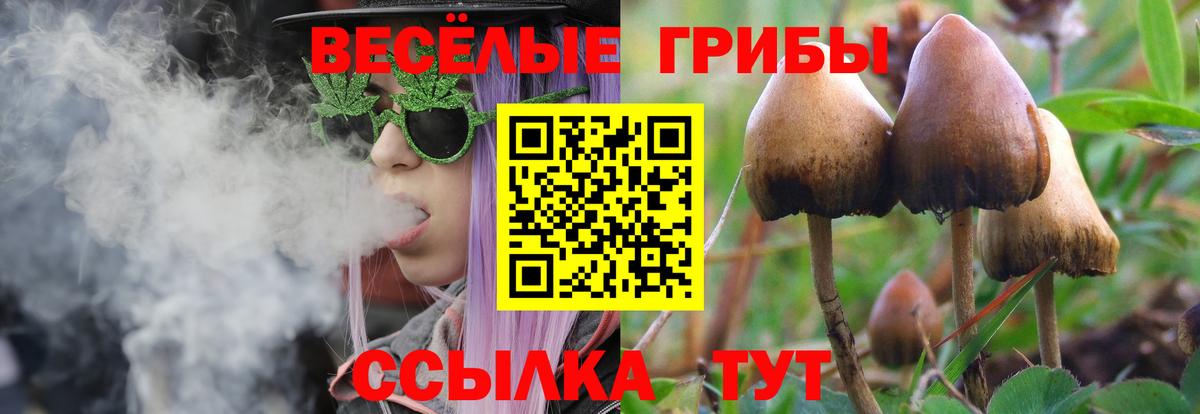 Анжеро-Судженск  Галлюциногенные грибы Cubensis  Псилоцибиновые грибы ЛСД  Вход с VPN 