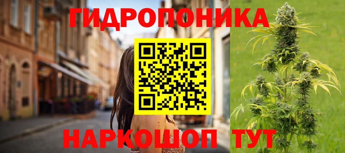 Шишки марихуана марихуана Анжеро-Судженск